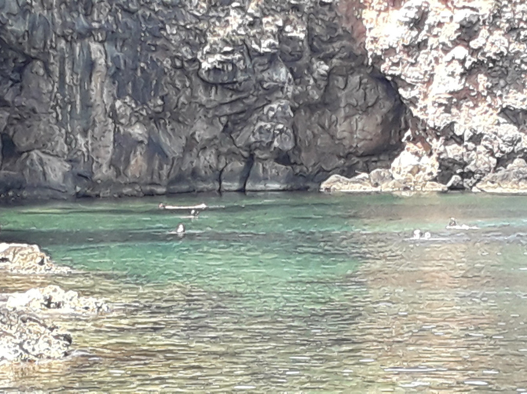Cala Maestra-Giannutri Island必去景点