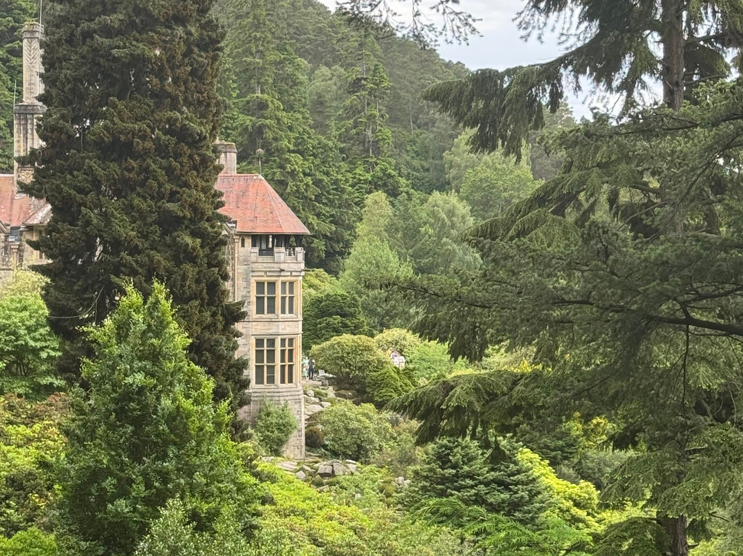 Cragside House and Gardens-Rothbury必去景点