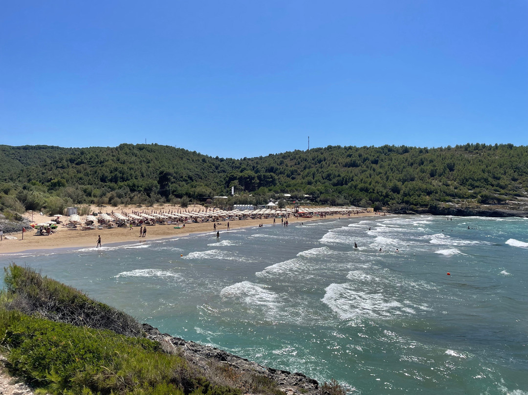 Spiaggia Di Calalunga