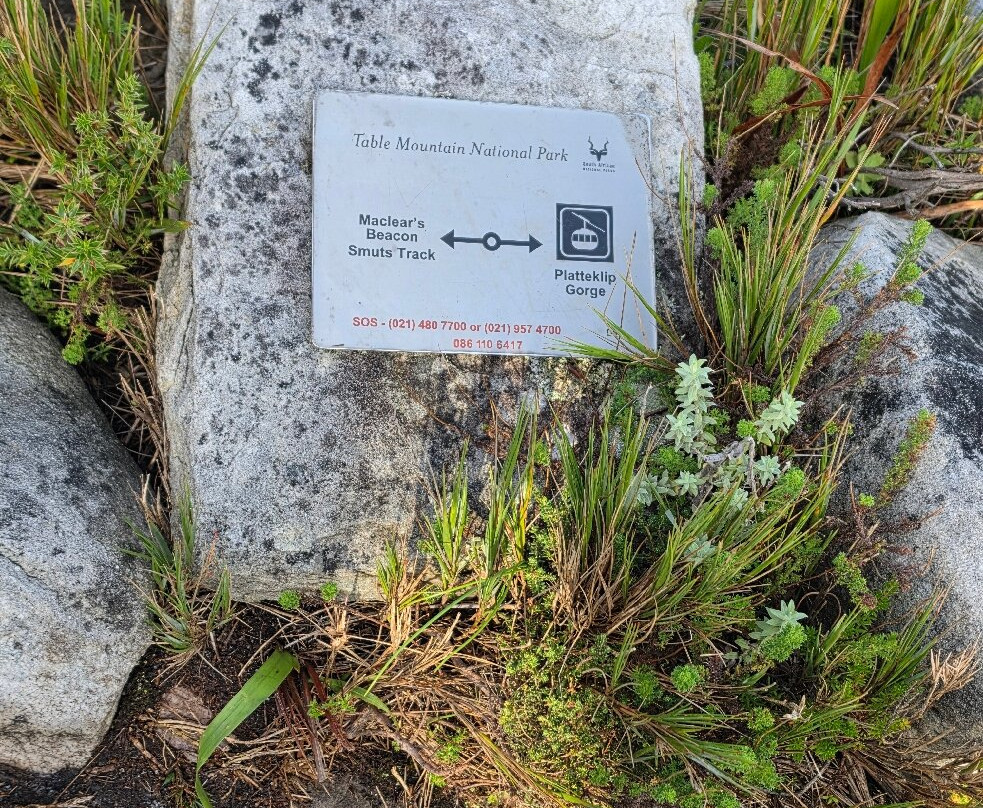Maclear's Beacon-桌山国家公园必去景点
