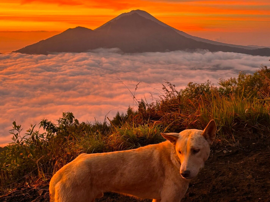 Batur Sunrise Experience-Central Batur必去景点