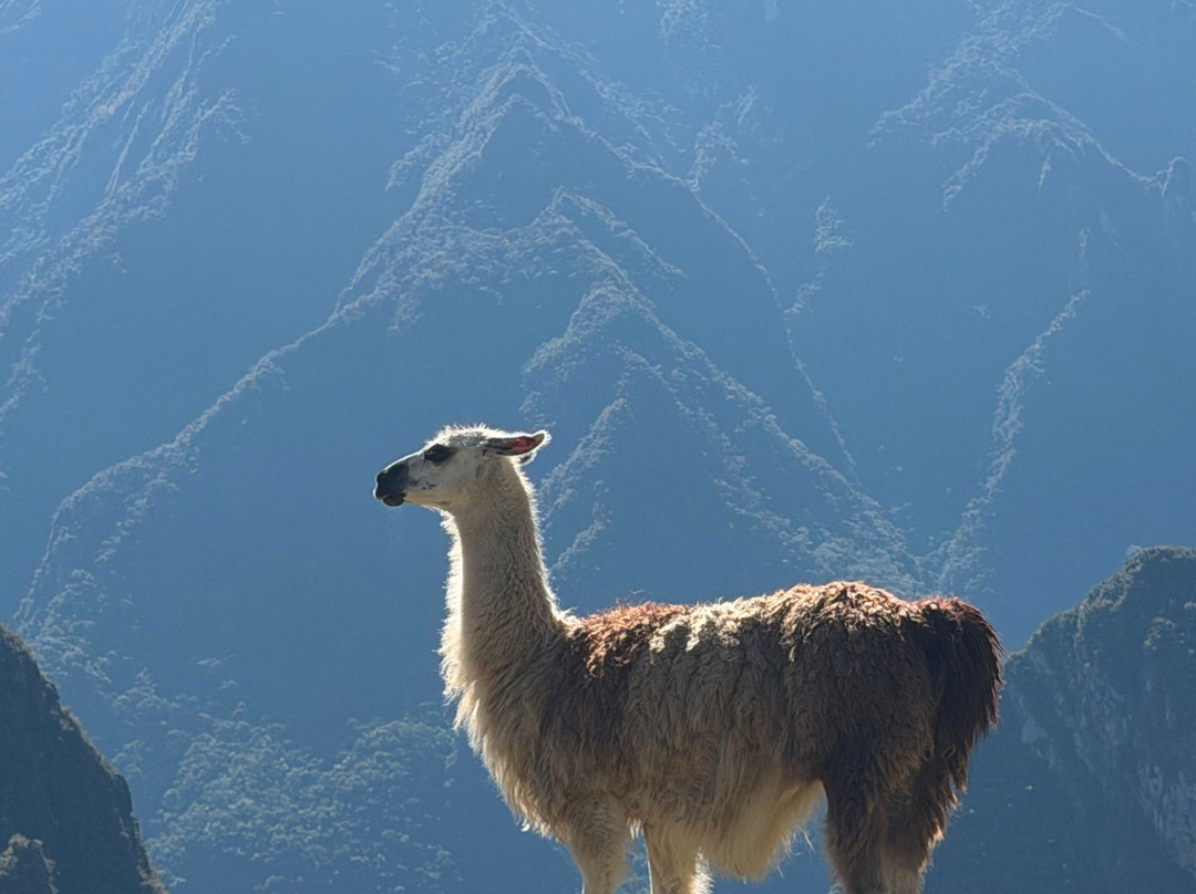 Peru Viva Experience-库斯科必去景点