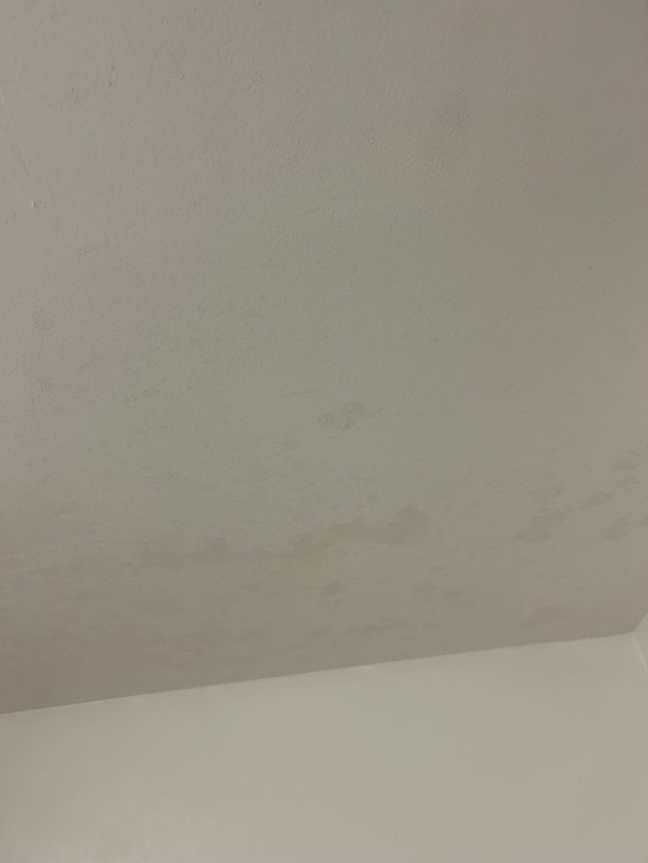 克利尔莱克广场贝斯特韦斯特酒店-旅行者