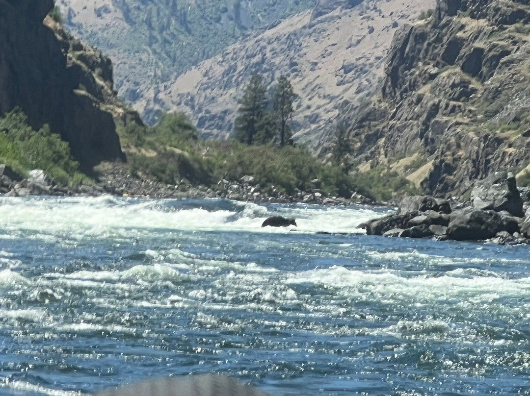 Killgore Adventures Hells Canyon Jet Boat Trips & Fishing Trips-White Bird必去景点