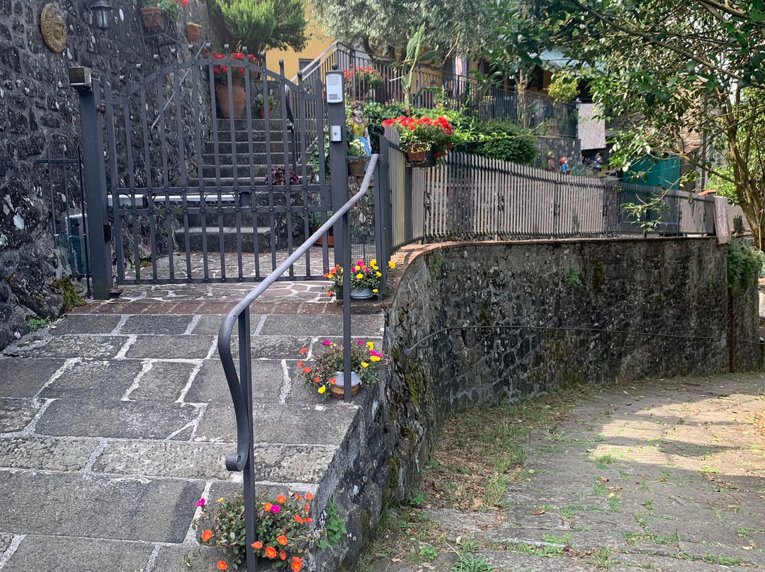 San Lorenzo主图