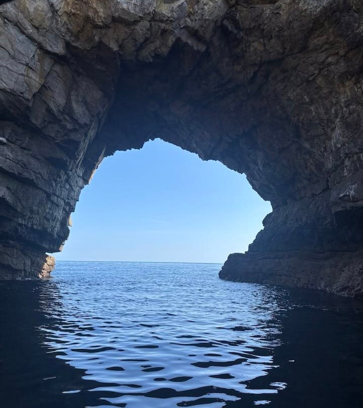 Swilly Boat Tours