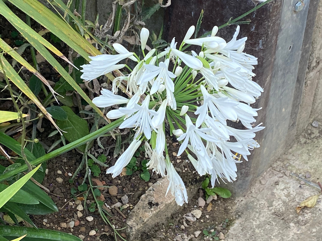 德尔孔德洛佩西翁别墅度假村&海水浴主图