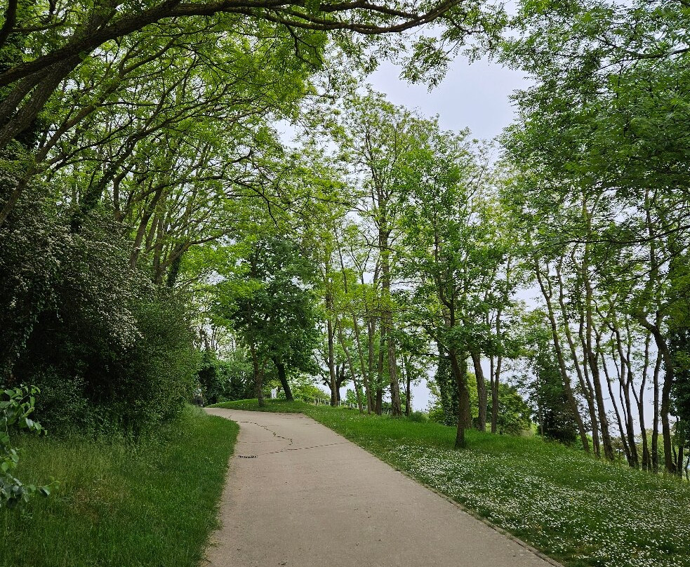 La Roche de Solutre-Solutre-Pouilly必去景点