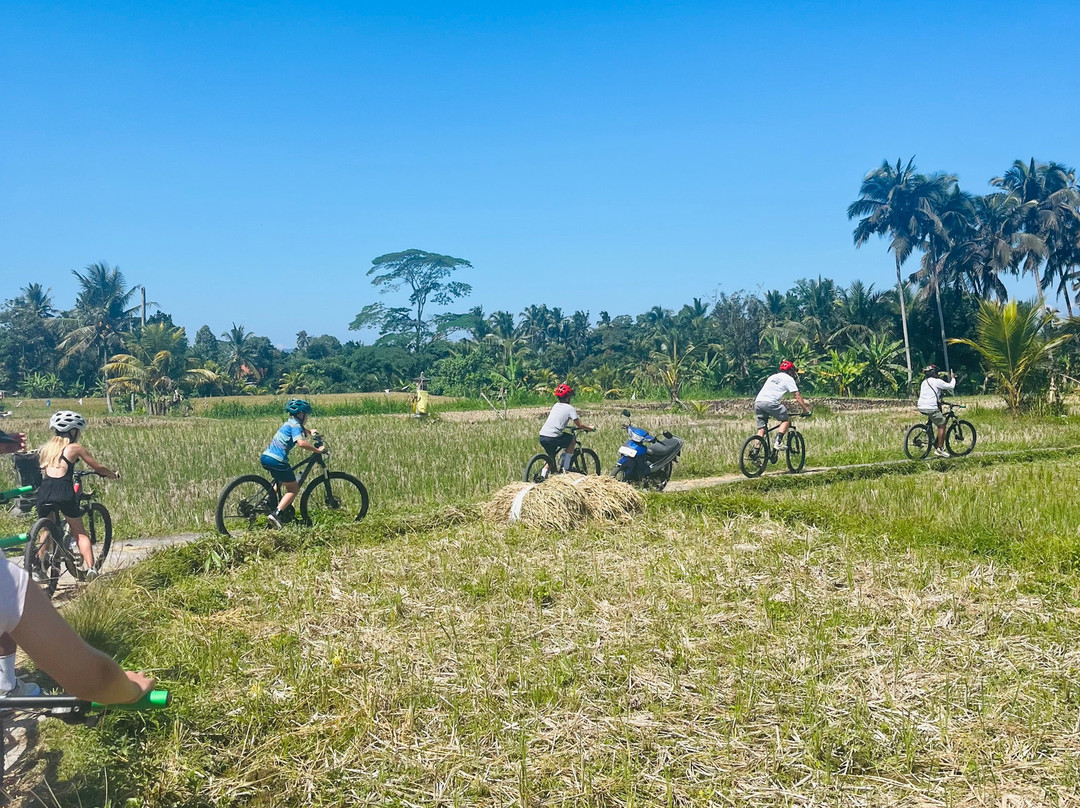 Ubud Cycling Bike-乌布必去景点