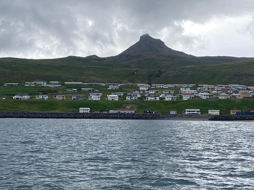 Laki Tours Whale Watching - Olafsvik-Olafsvik必去景点