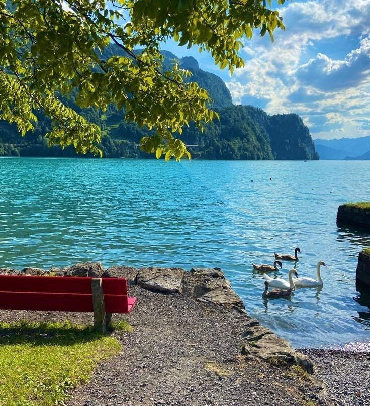 卢塞恩湖-卢塞恩必去景点