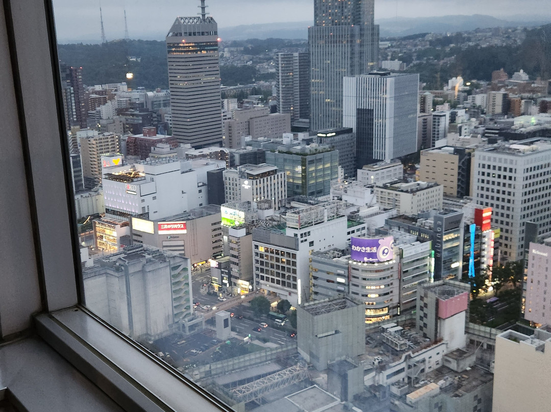 AER Lookout Terrace-仙台市必去景点