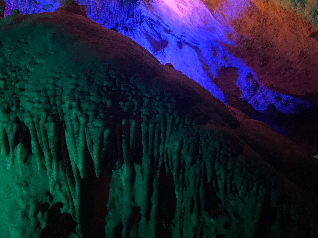 Florida Caverns State Park-Marianna必去景点