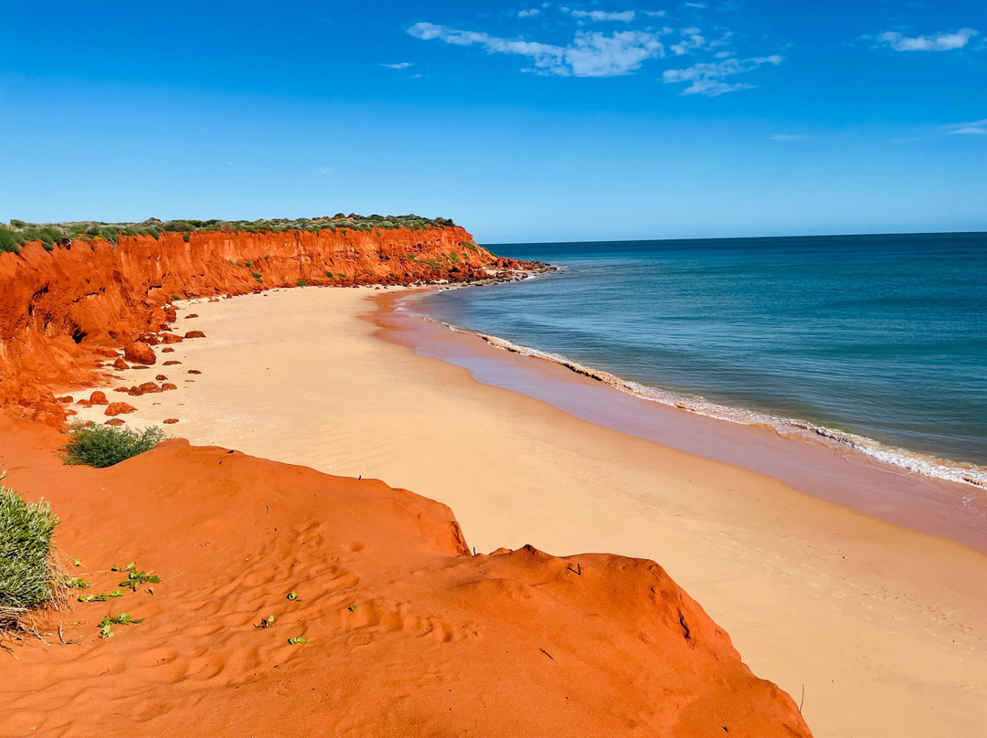 Shark Bay Coastal Tours-德纳姆必去景点