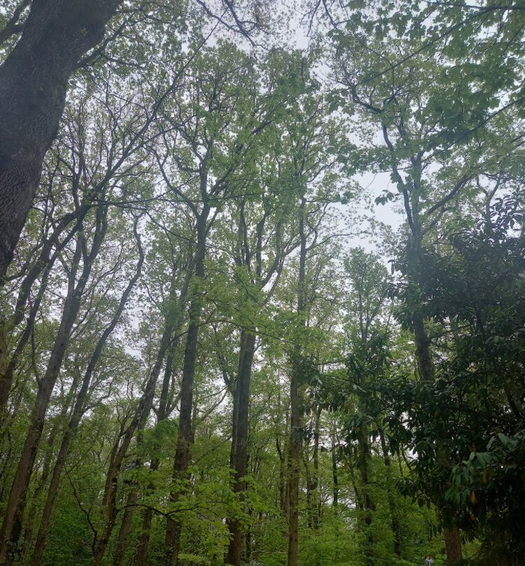 Acrocime-Carquefou必去景点