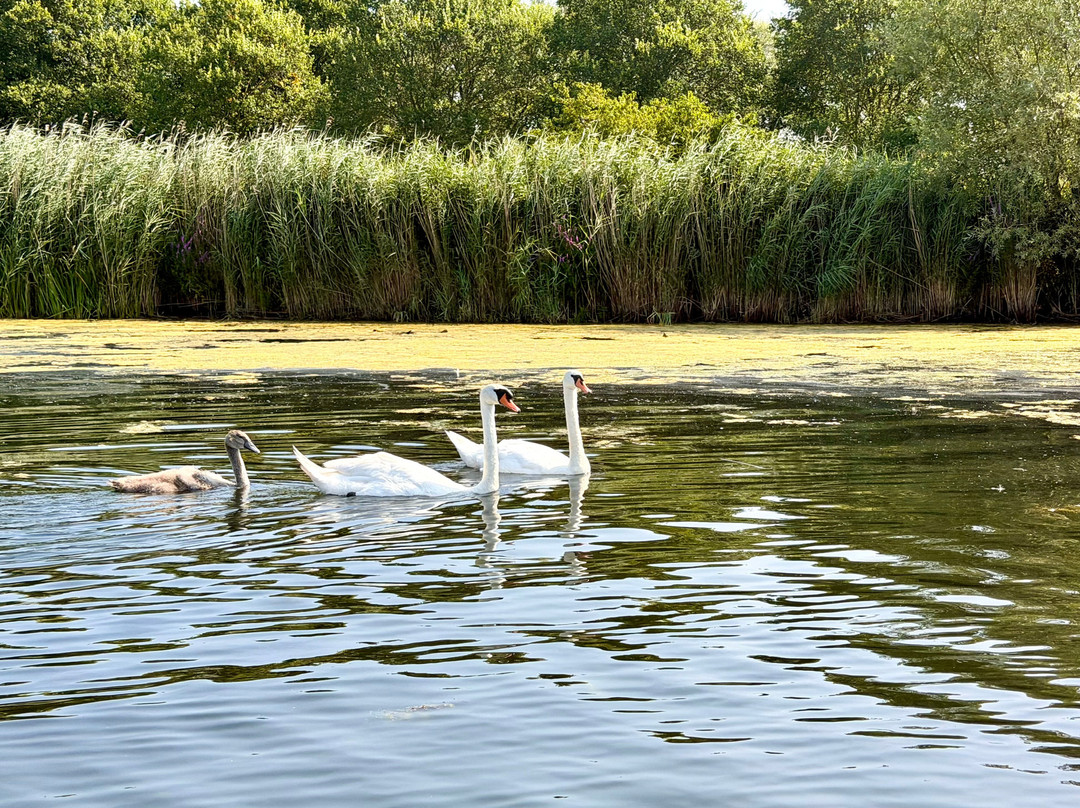 National Park De Biesbosch-Drimmelen必去景点