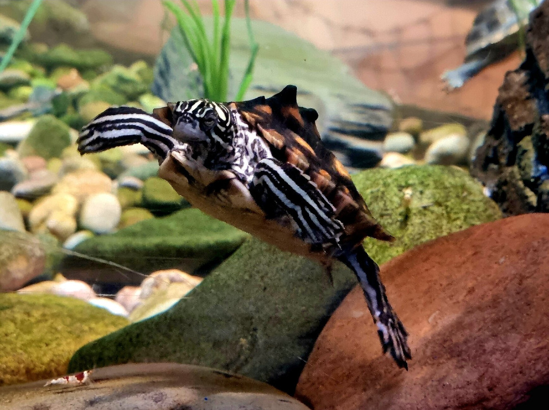 Lake District Coast Aquarium-Maryport必去景点