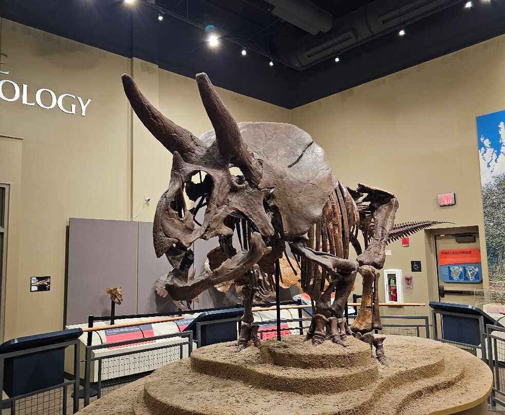 Burpee Museum of Natural History-罗克福德必去景点