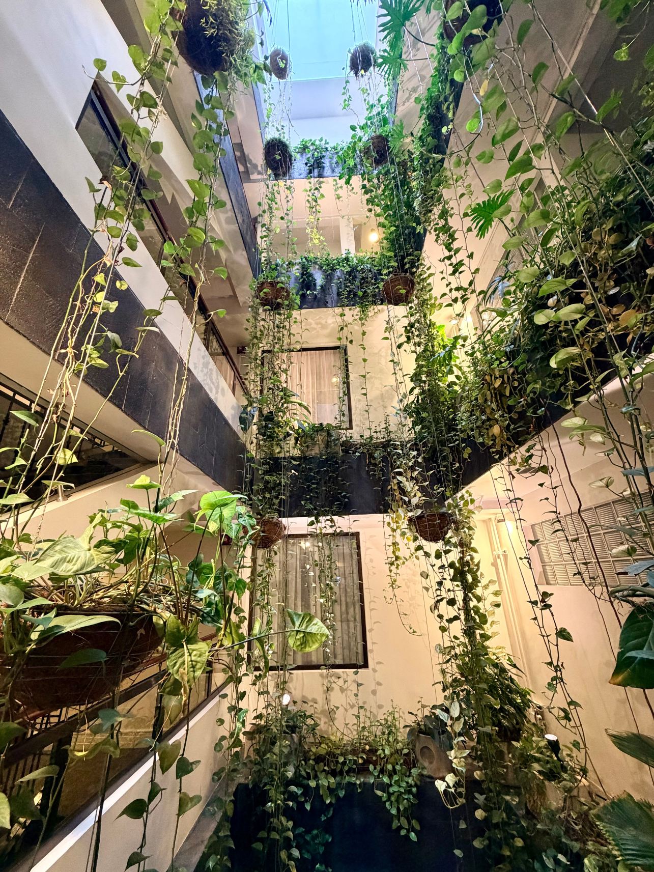 圣何塞市中心总统酒店-旅行者