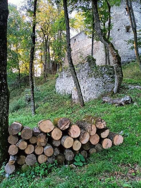 Castle Dobra Voda-Dobra Voda必去景点