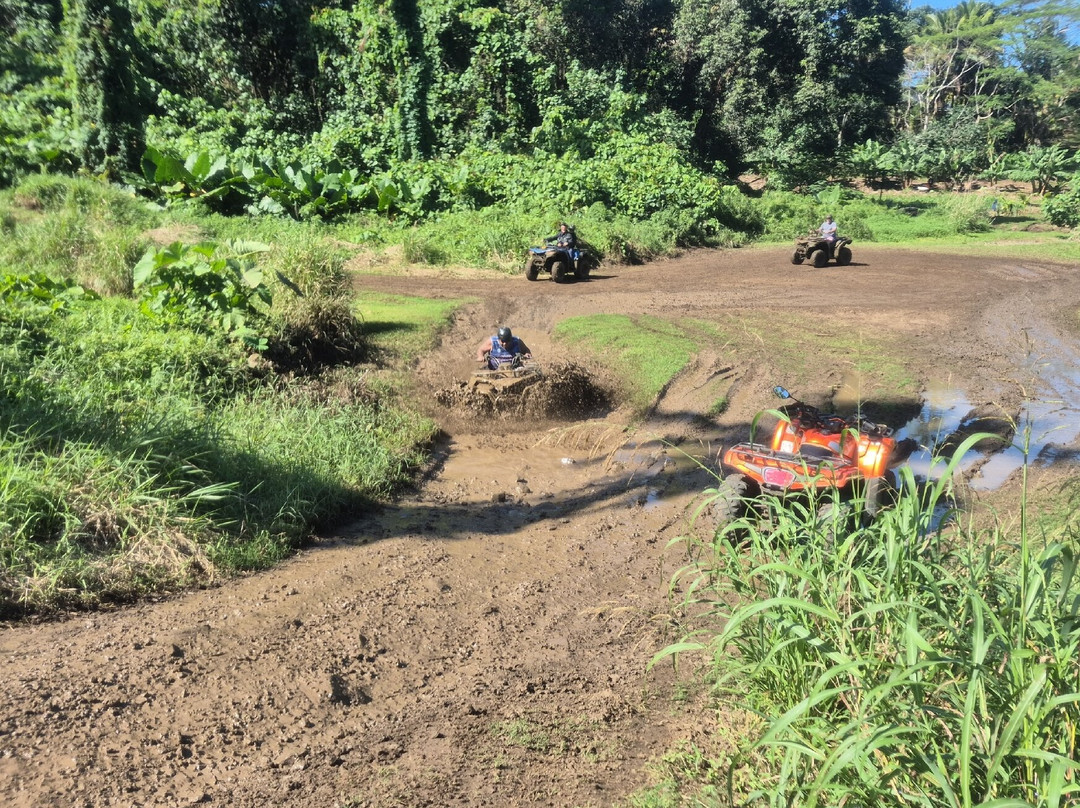 Raro Quad Tours-穆里必去景点