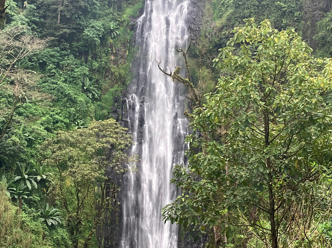 Meijo Safaris-阿鲁沙区必去景点