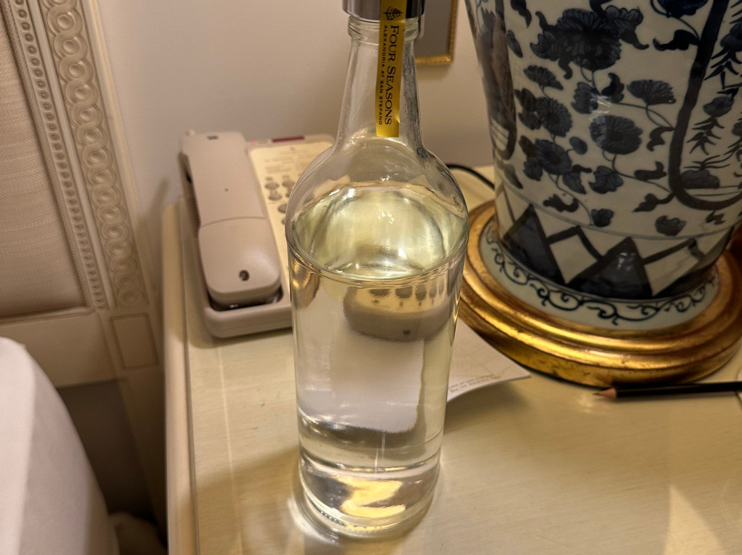 亚历山大圣斯特凡诺四季酒店主图