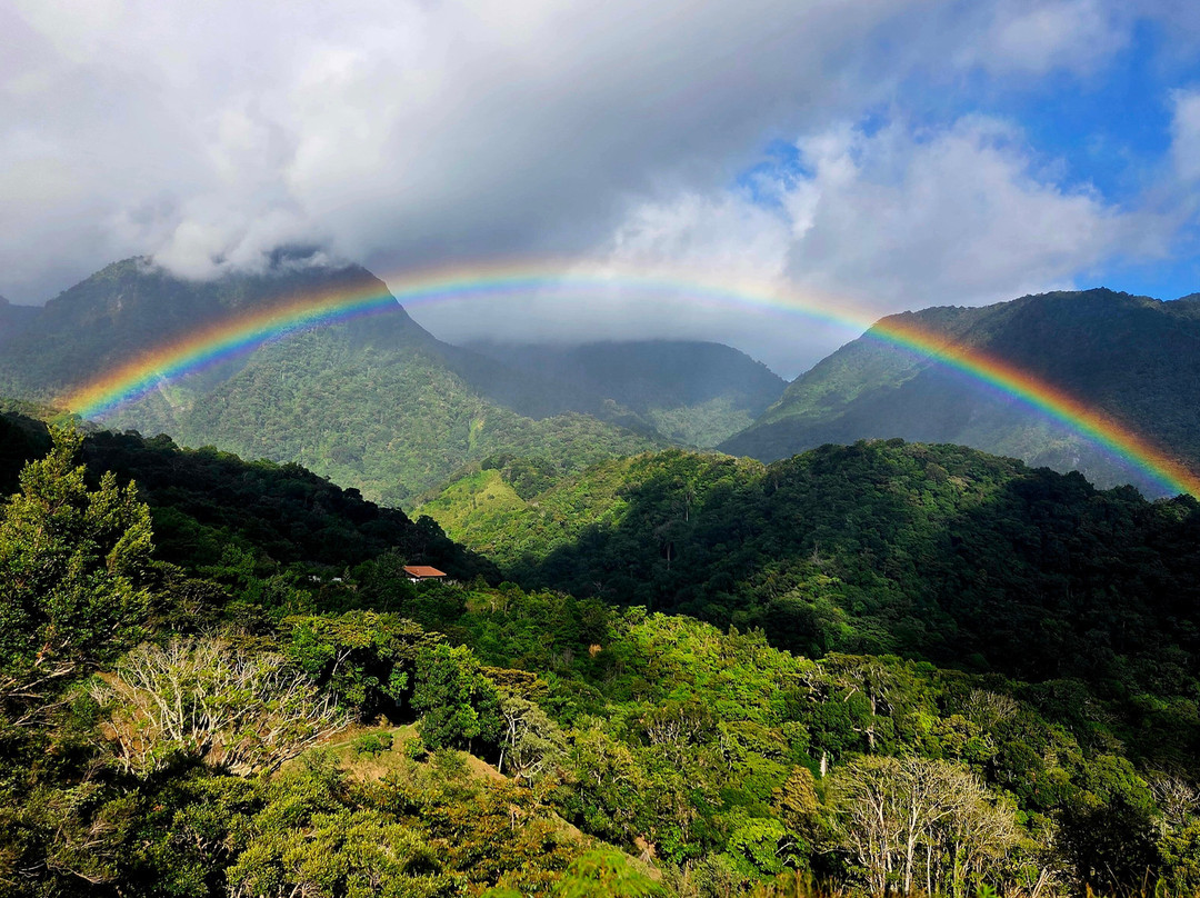 Mount Totumas Cloud Forest主图