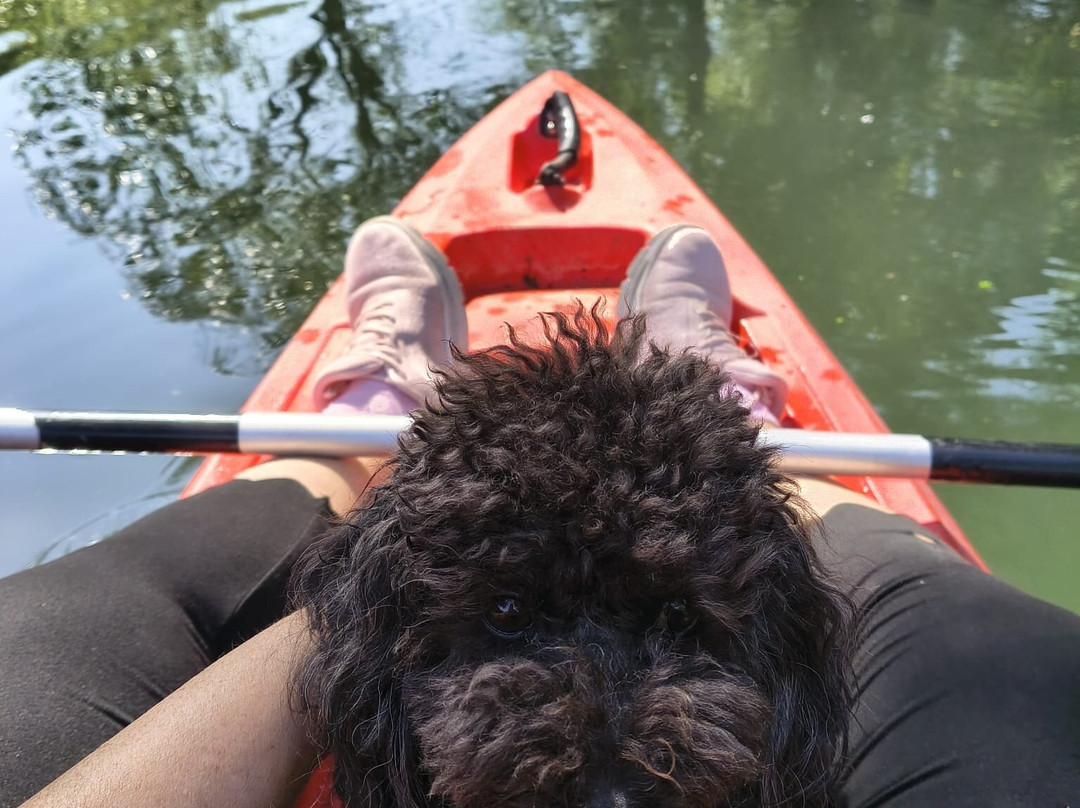 Canoa sul Tirino con Majellando-Bussi sul Tirino必去景点