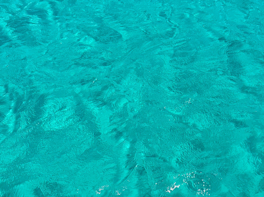 Rofos Boat Tours-Aliki必去景点