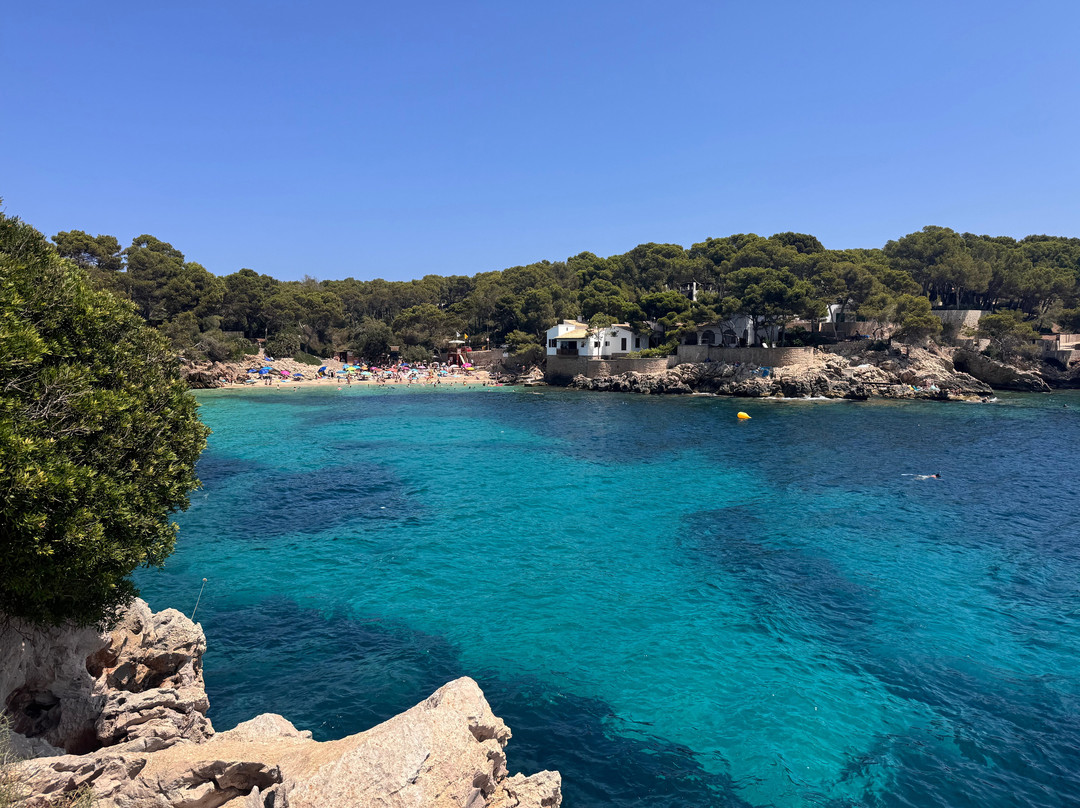 Cala Gat-Cala Ratjada必去景点