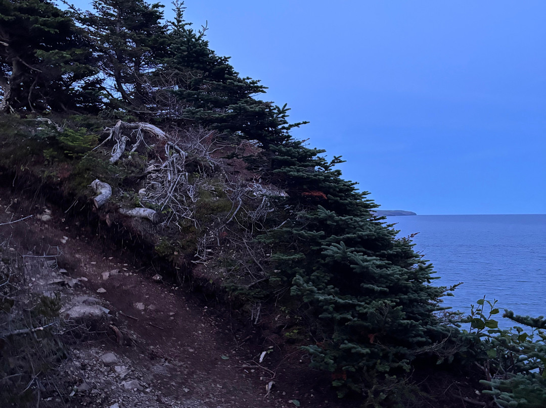 Skerwink Trail-Port Rexton必去景点