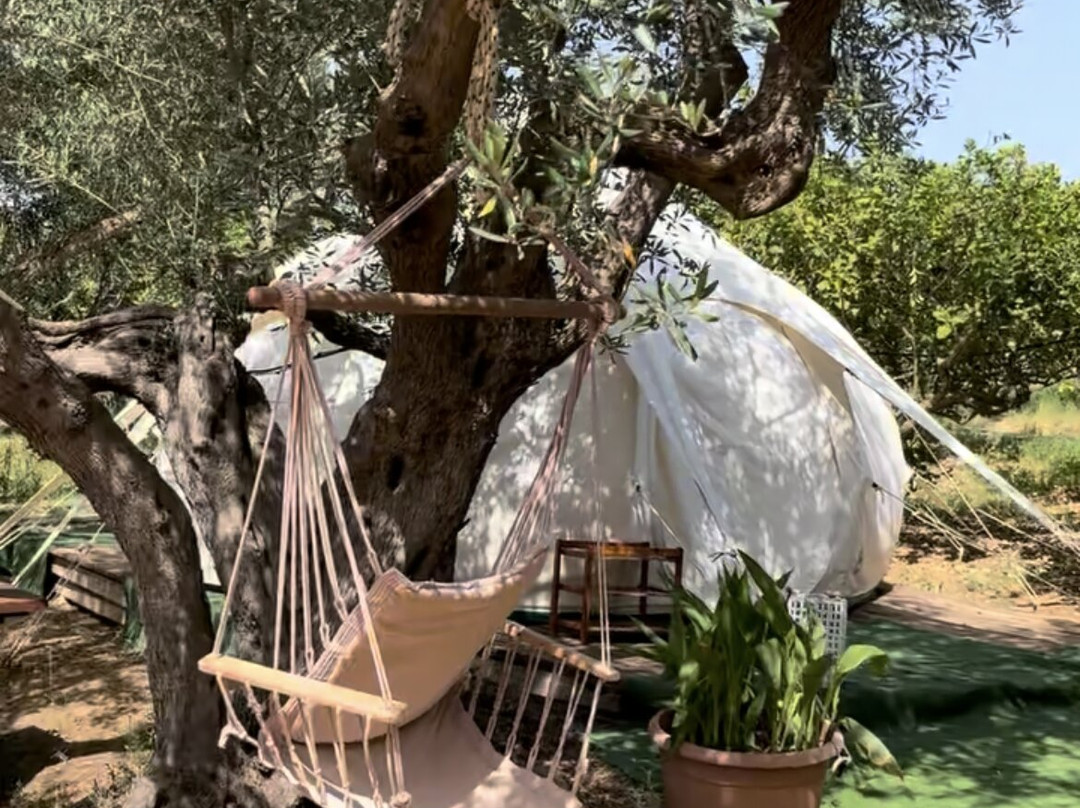 Sirbaggia Agri - Camping