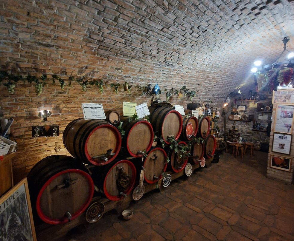 Pivnita lui Teo - Teo's Cellar-锡吉索拉必去景点
