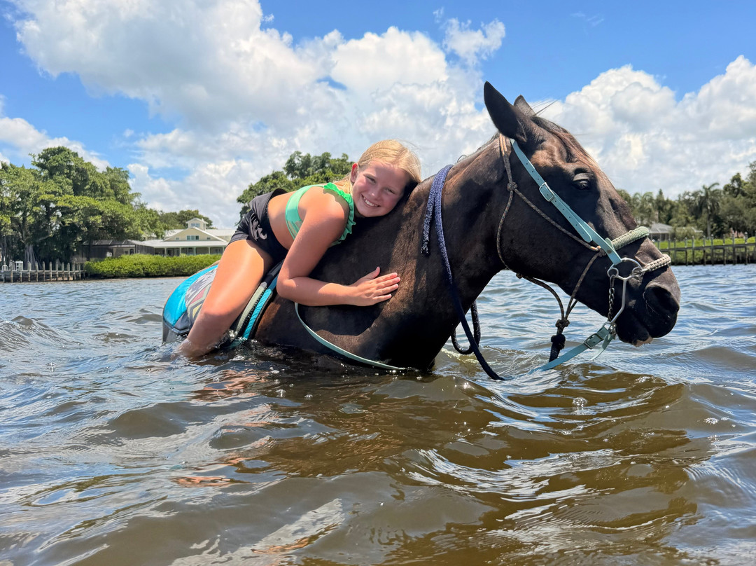 Florida Beach Horses-布雷登顿必去景点