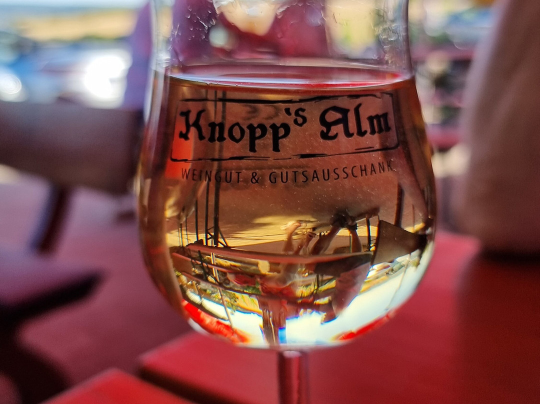 Weingut & Gutsausschank Knopp's Alm