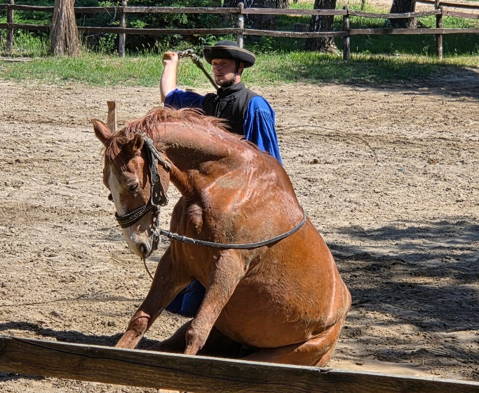 Varga Tanya Horse Show-Kerekegyhaza必去景点