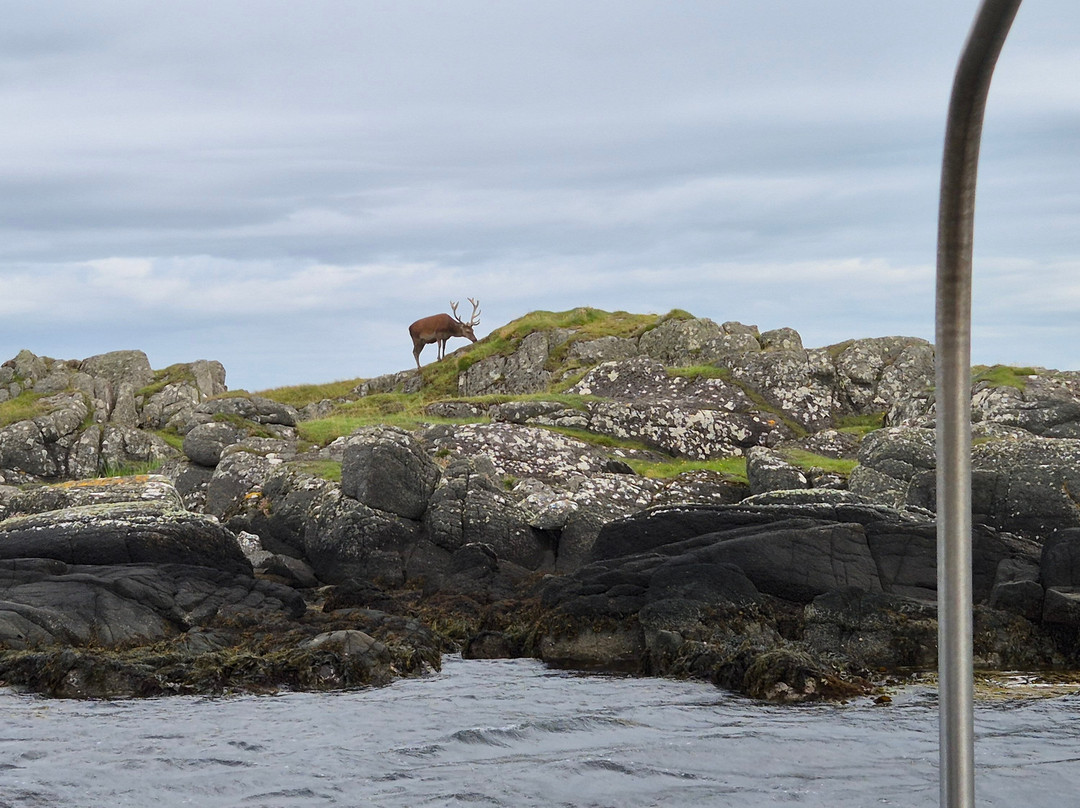 Islay Sea Adventures-Port Ellen必去景点