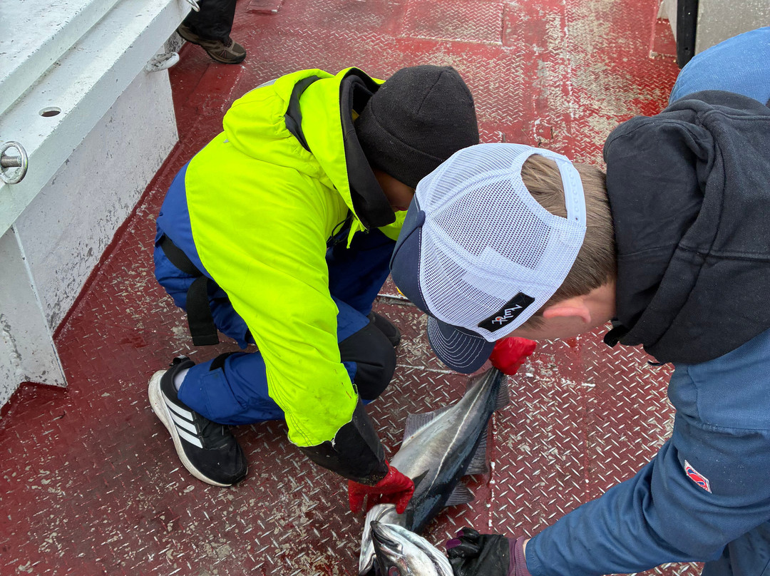 REEL Fishing And RIB Safaries-雷讷必去景点