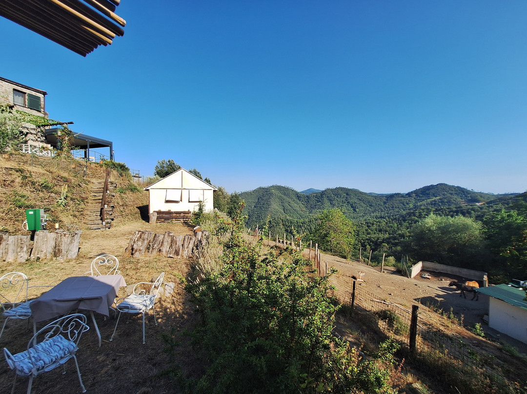 Agriturismo degli Olivi主图