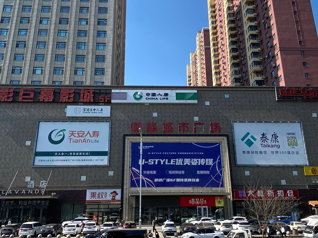 辽源丽峰酒店