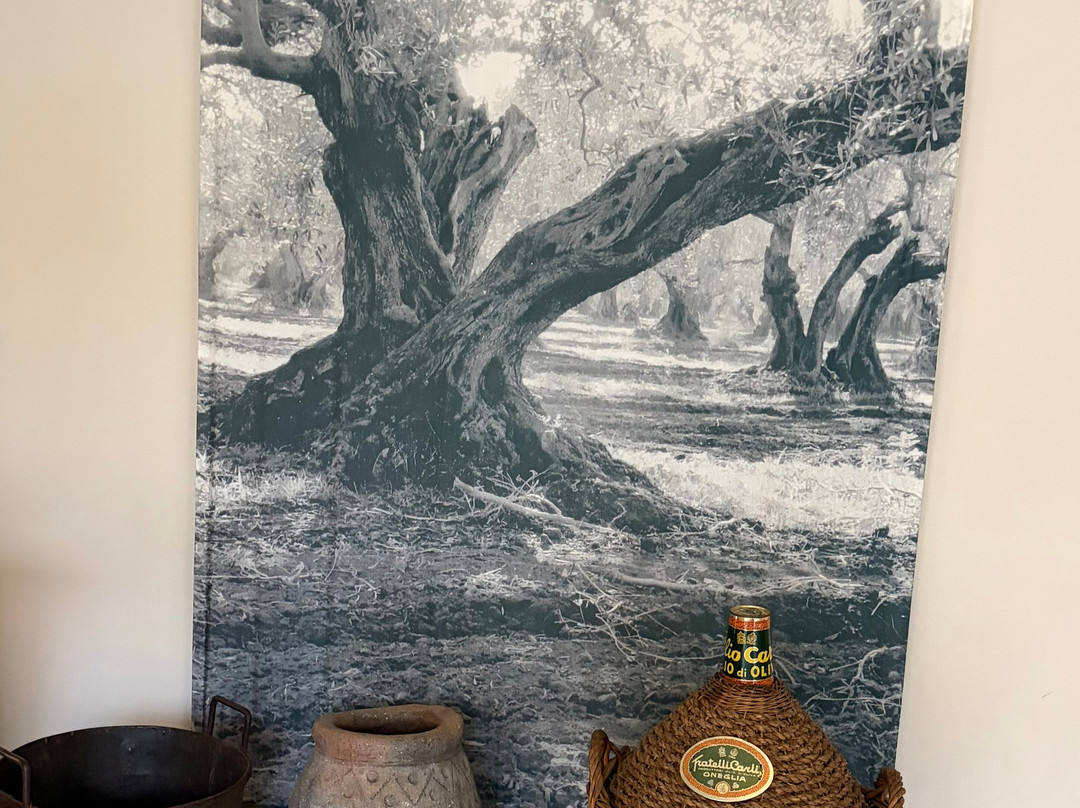 Museo dell'Olivo-因佩里亚必去景点