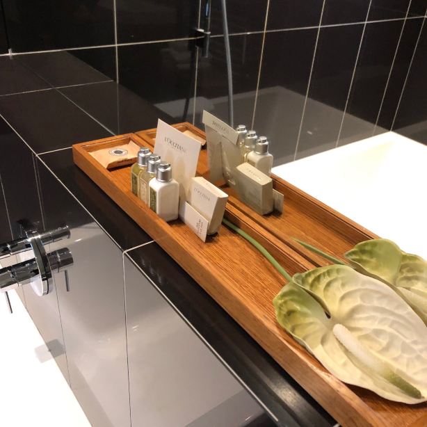 阿尔布雷希特酒店-旅行者