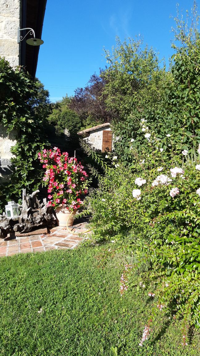 Castagna Dulcis-旅行者