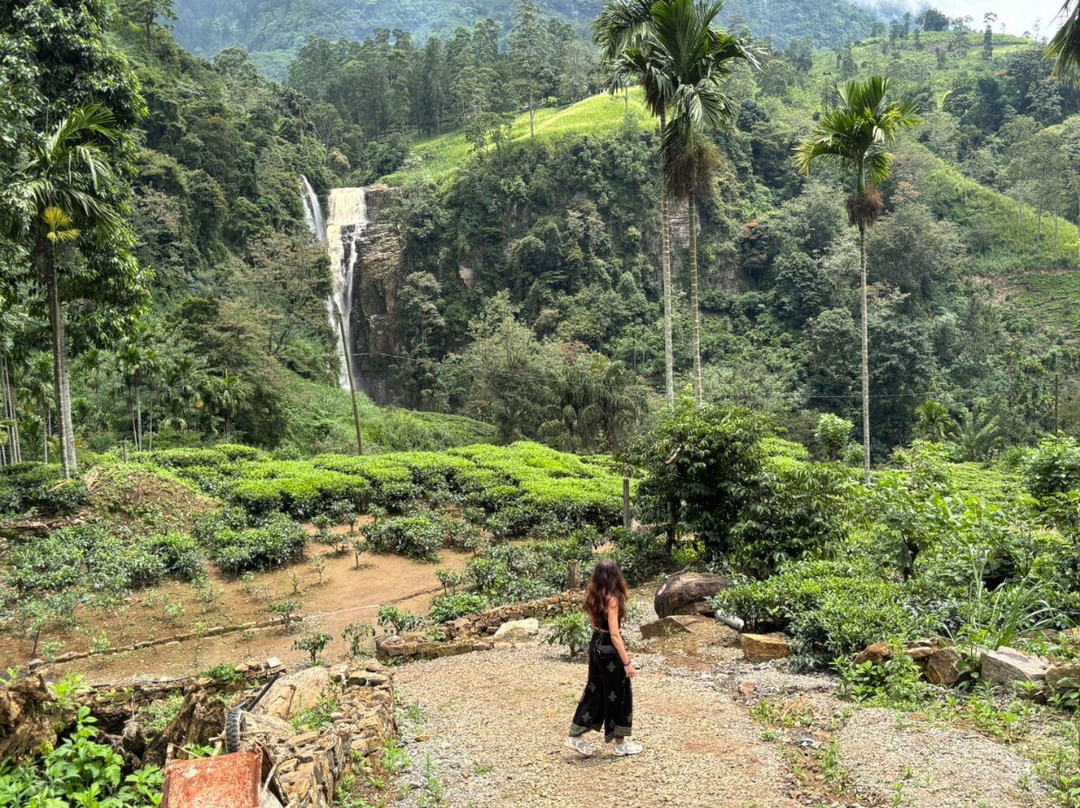 Compass Lanka Tours-Yakkala必去景点