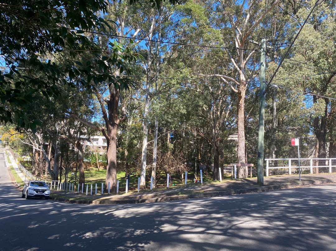 Selkirk Park