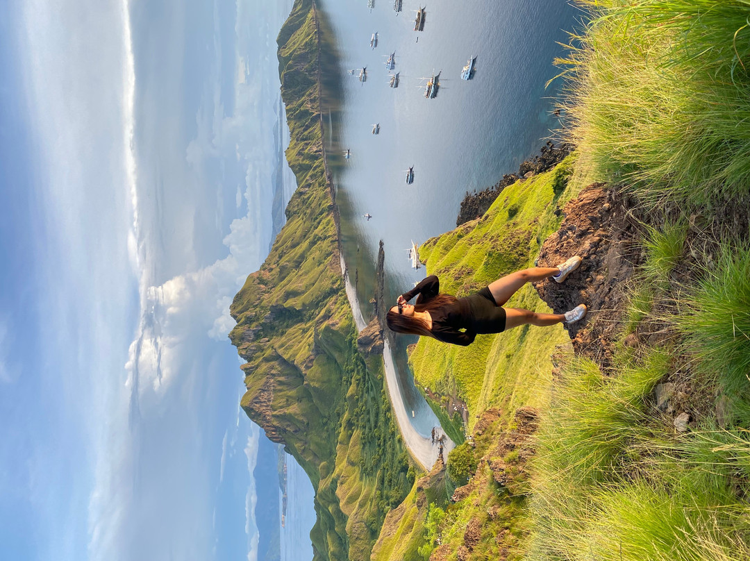 Bajo Explore