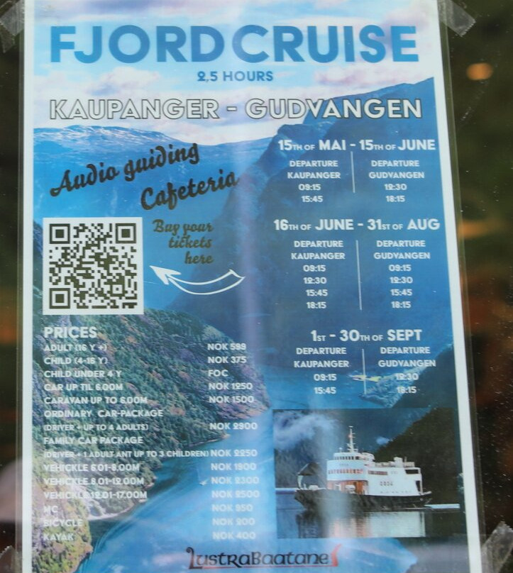 Car Ferry Cruise Kaupanger - Gudvangen-Gudvangen必去景点