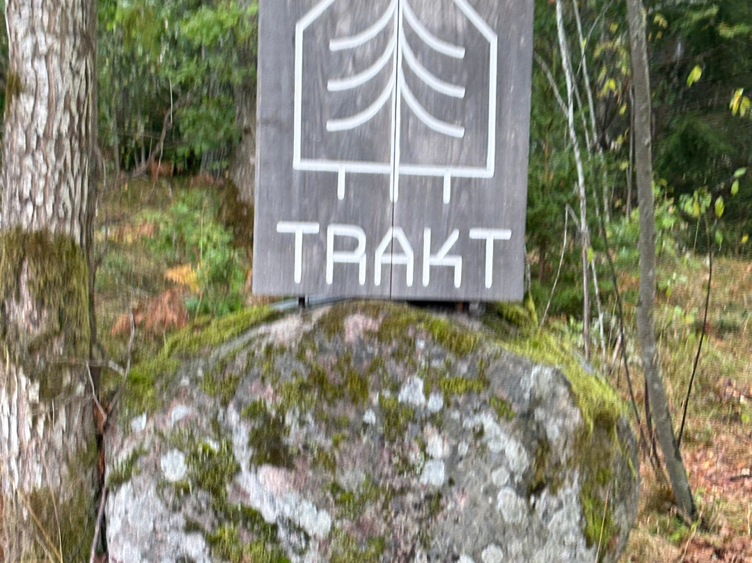 Trakt Forest Hotel主图