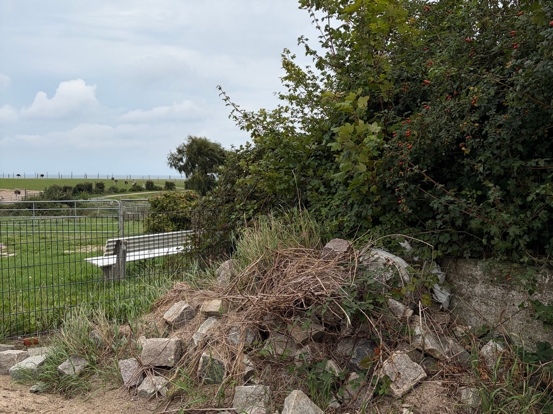 Straußenfarm Ostseeblick-Hohenfelde (Plon)必去景点